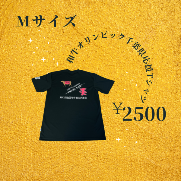 全共千葉県応援Tシャツ_黒M裏