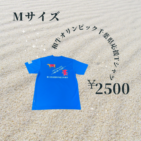 全共千葉県応援Tシャツ_青M裏