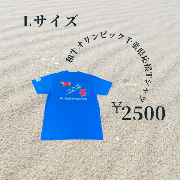 全共千葉県応援Tシャツ_青L裏